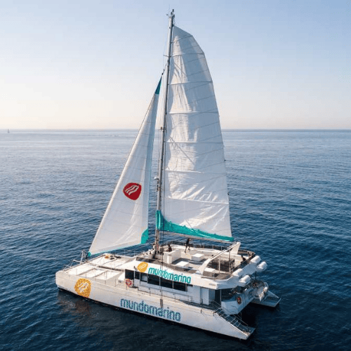 Catamaran Mundo Marino Málaga