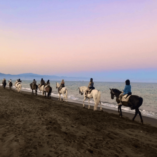 Los Caireles Riding Club