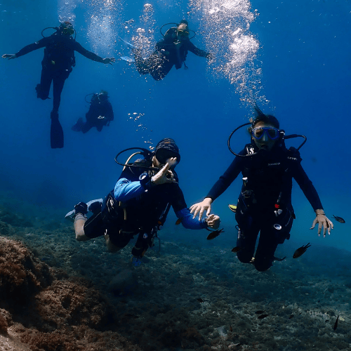 Diving with Nic