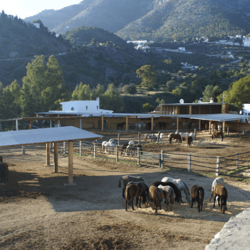 Rancho La Paz