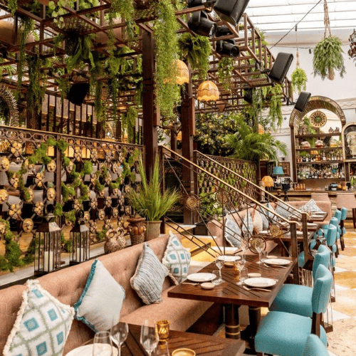 COYA Club