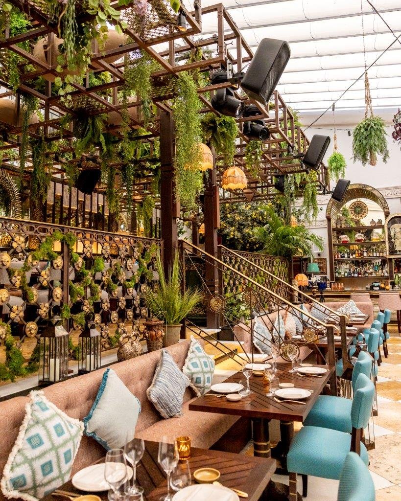 COYA Club
