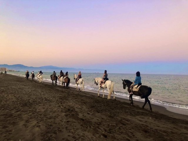 Los Caireles Riding Club