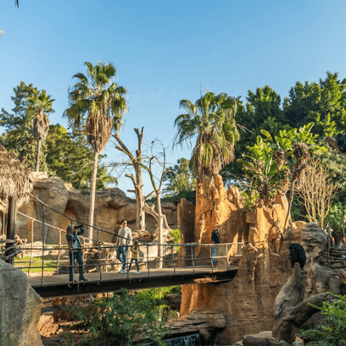 Bioparc Fuengirola