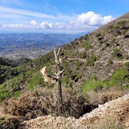 Sendero Fuente de la Adelfa