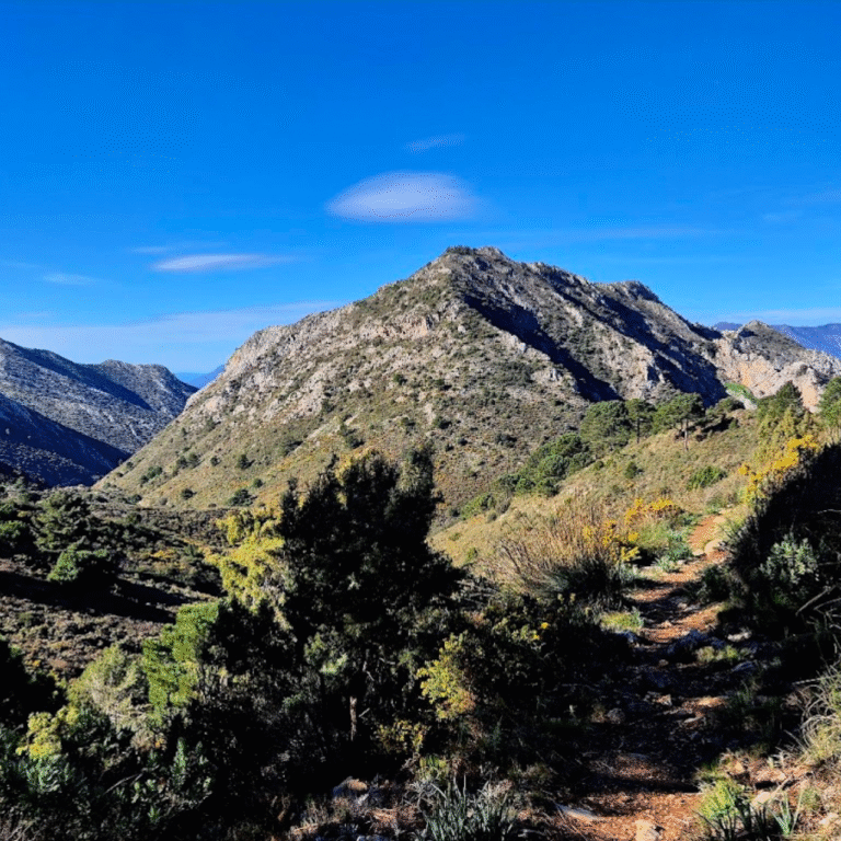 Sierra Blanca